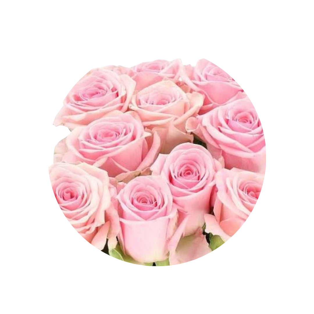 21 Roze Pink Mondial