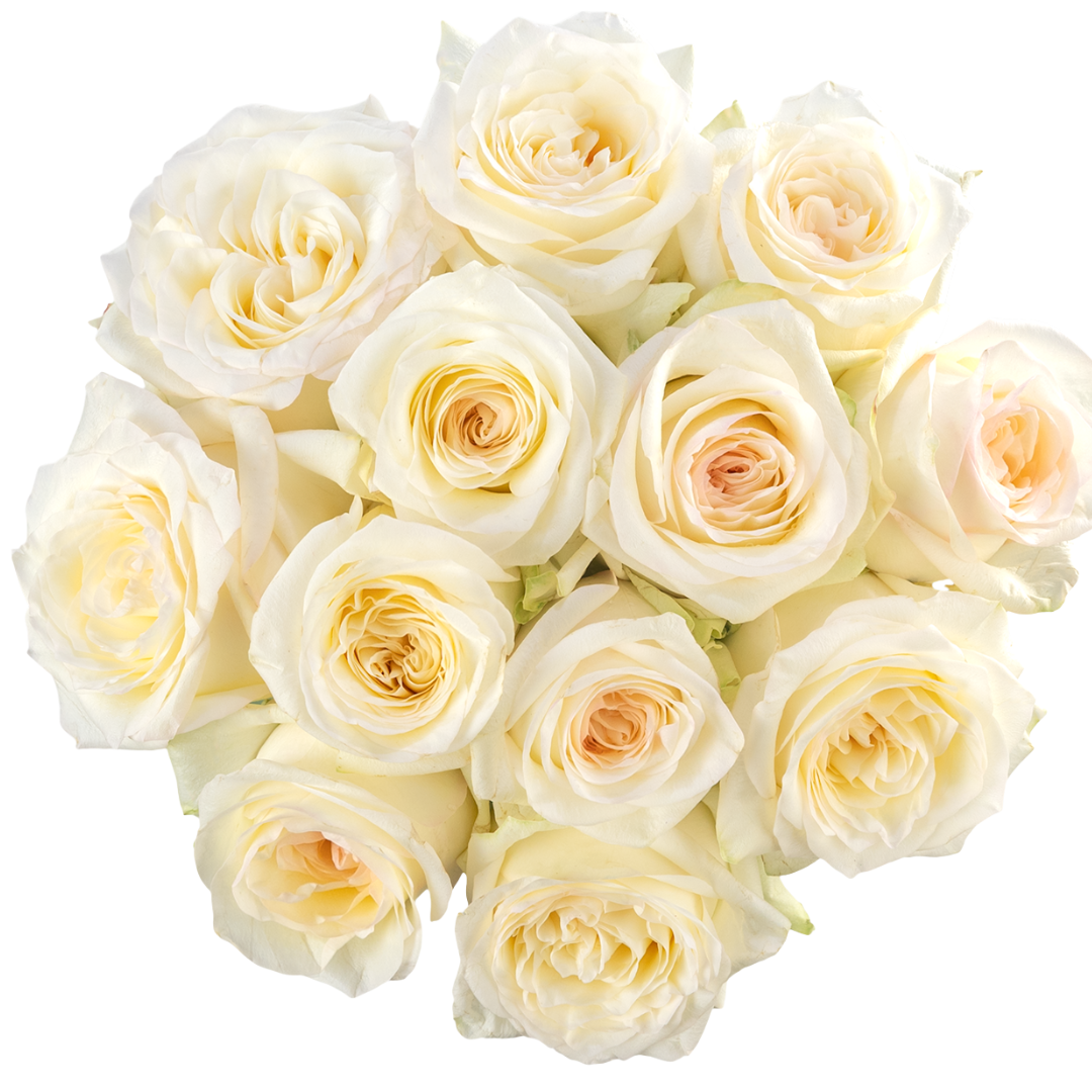 9 Roze Candlelight
