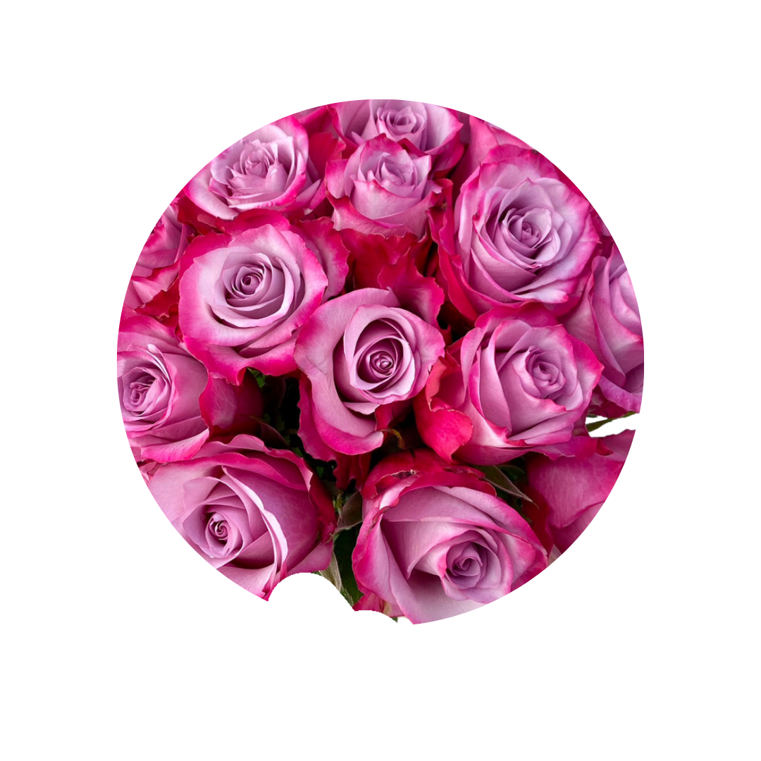 9 Deep Purple