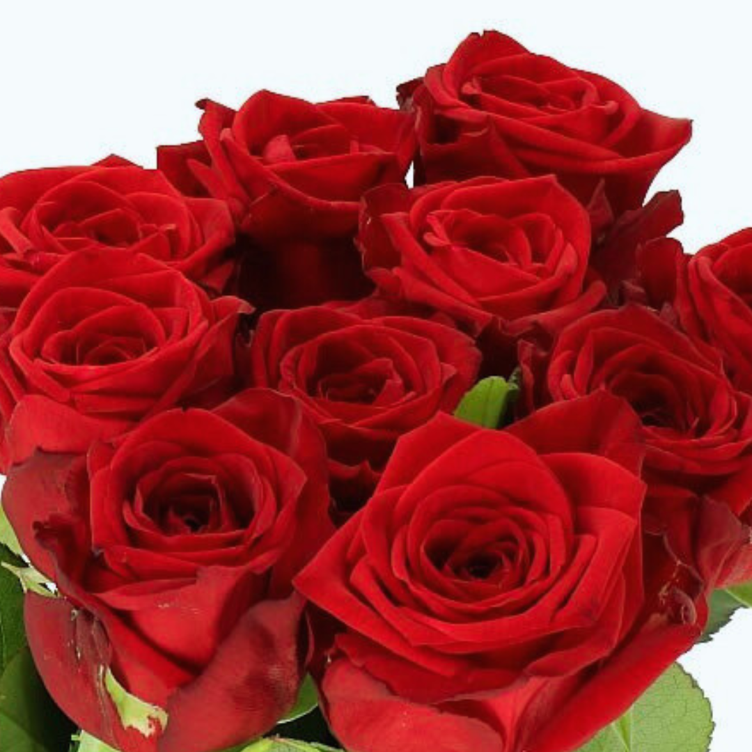 9 Roze Red Naomi