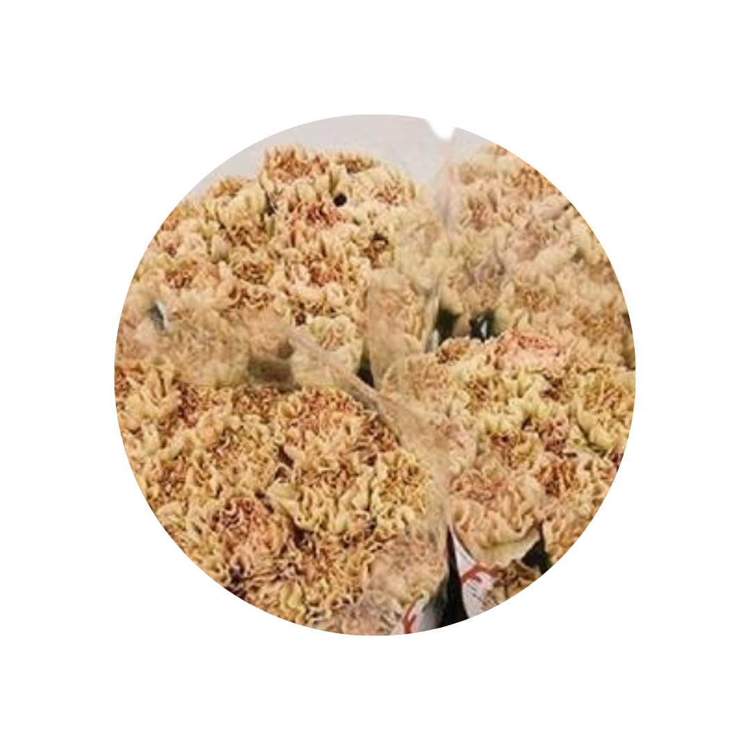 9 Diantus Lege Marrone