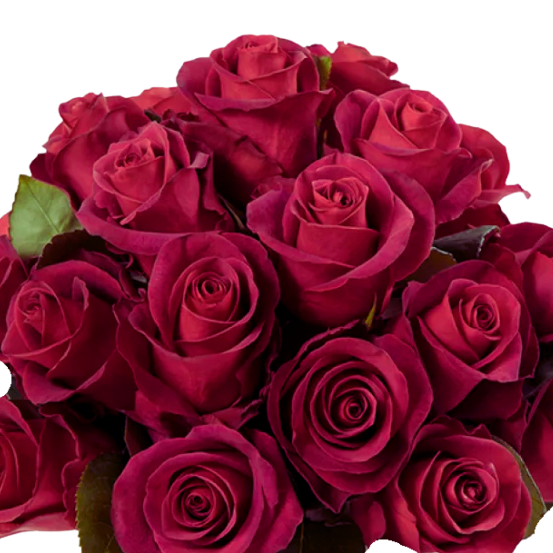 9 Roze Endora
