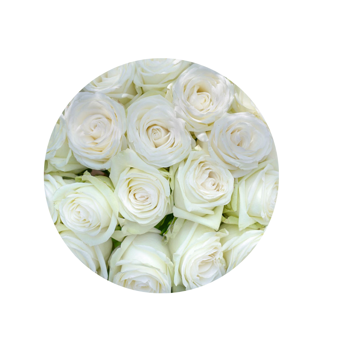 9 Roze Alba