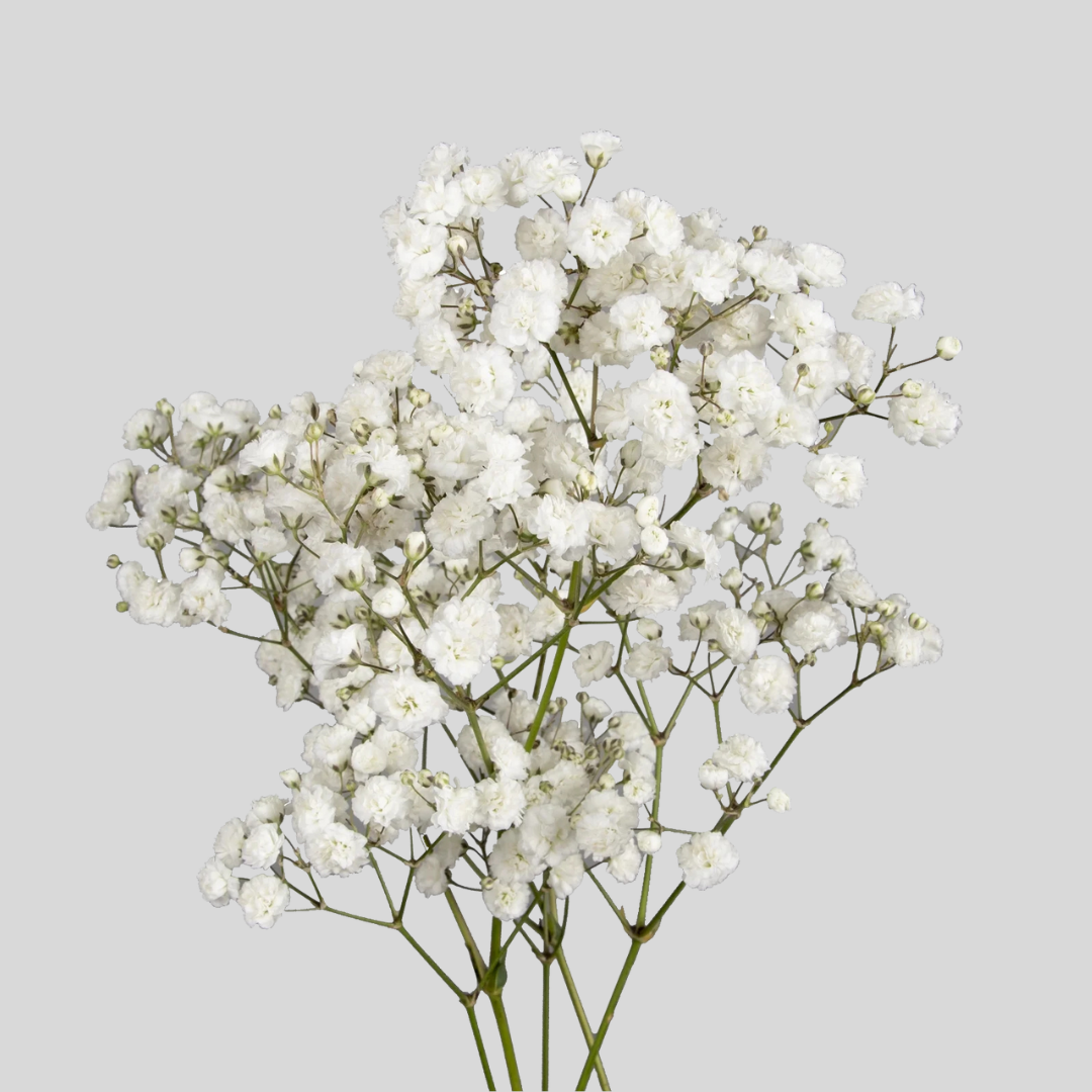 15 Baltais smaržu mākonis