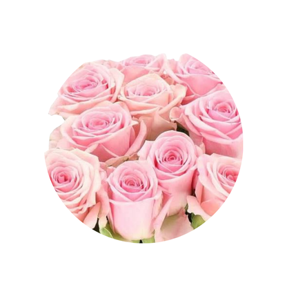 9 Roze Pink Mondial