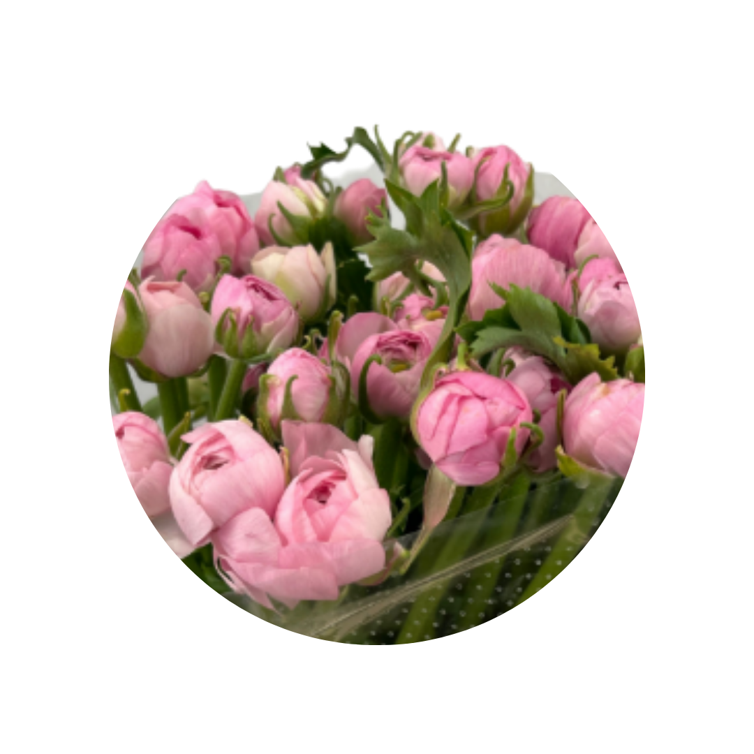 9 Rununkuls Pink