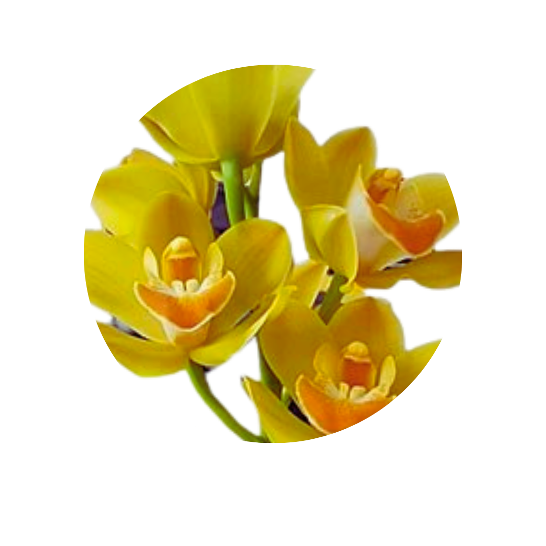 5 Orhideja  Lemon Curd