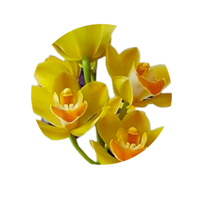 5 Orhideja  Lemon Curd