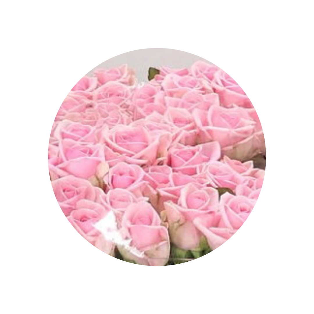 9 Roze Heaven