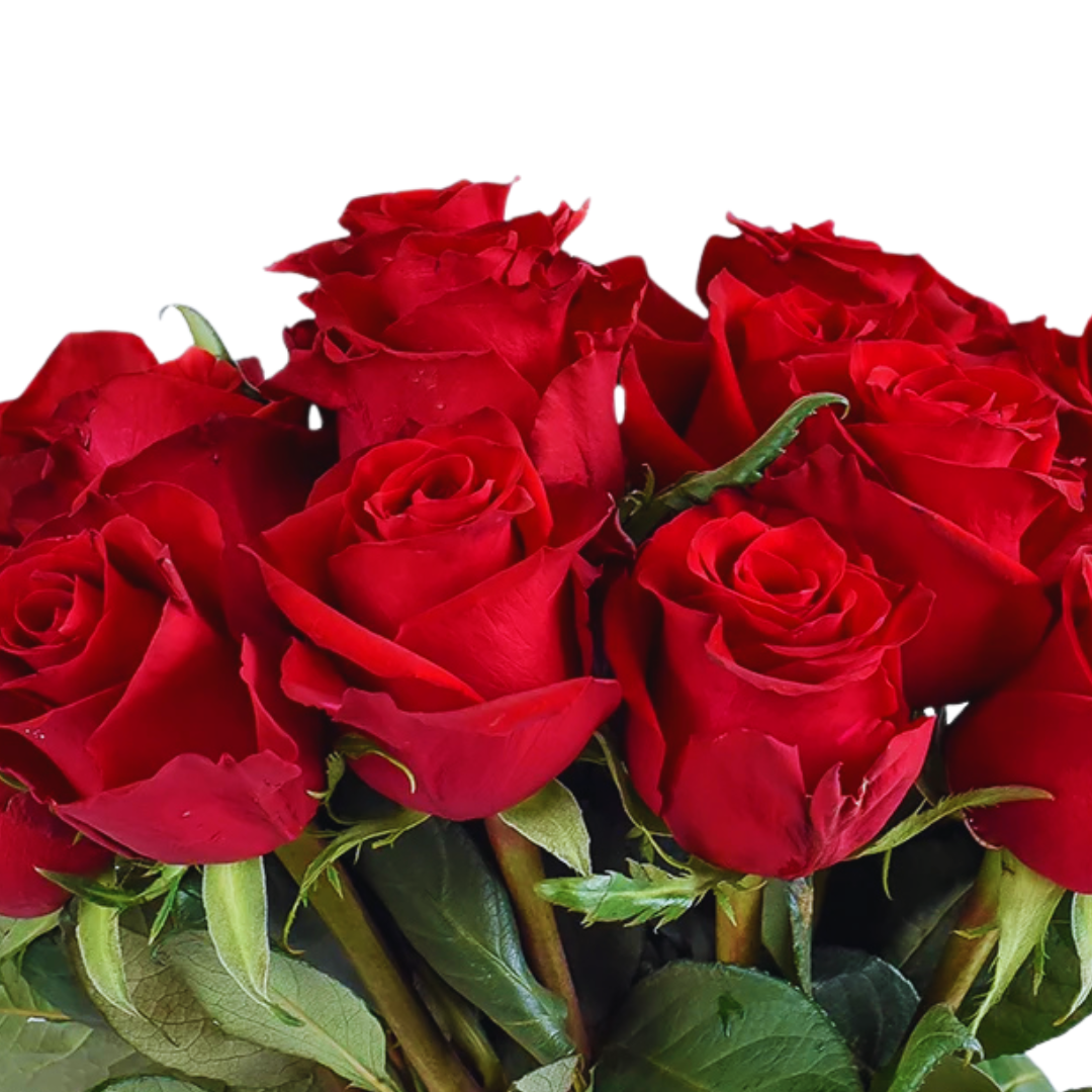 9 Roze Ever Red