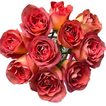 9 Roze Coffee Break