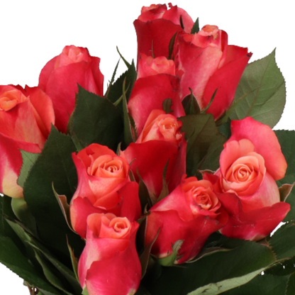 9 Roze Helene