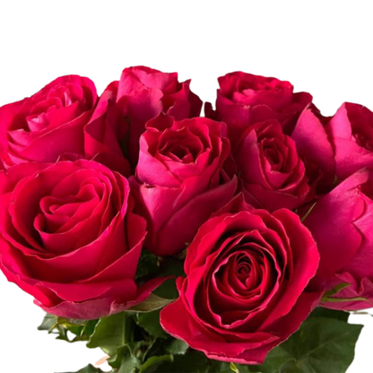 9 Roze Madam Cerise