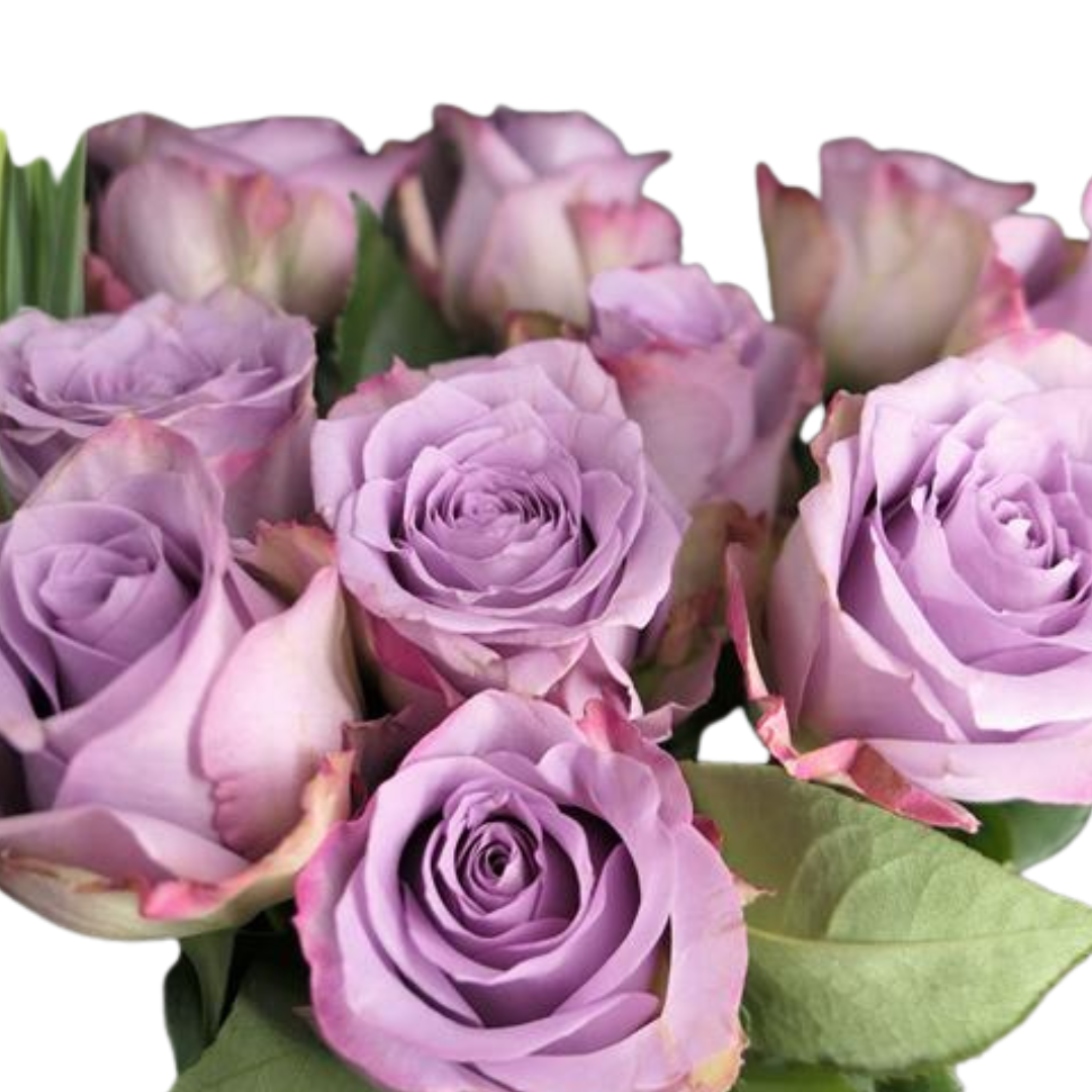 9 Roze Memory Lane