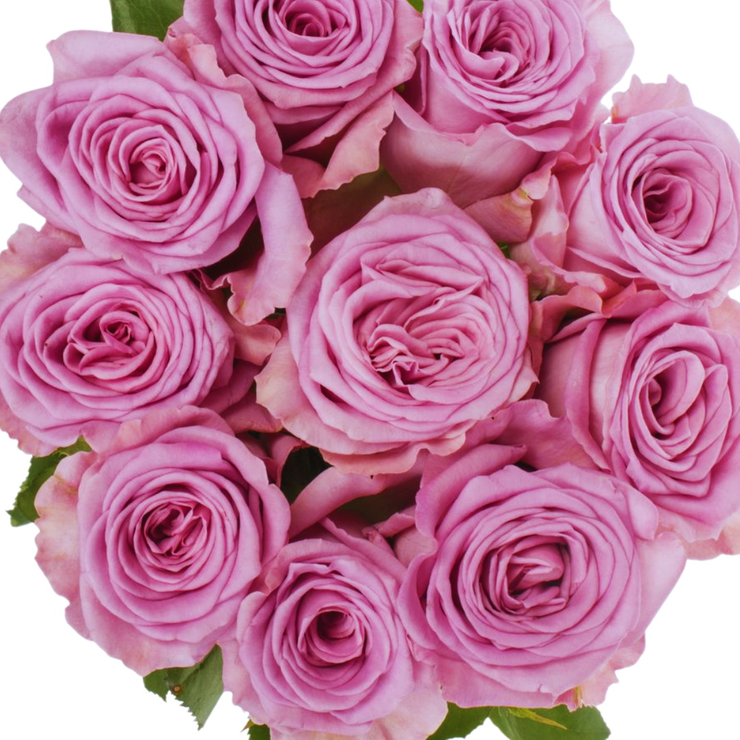 9 Roze Nayeli