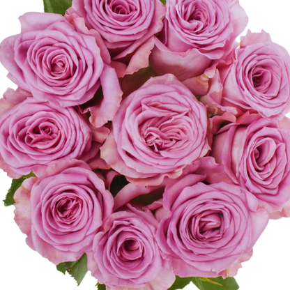 9 Roze Nayeli
