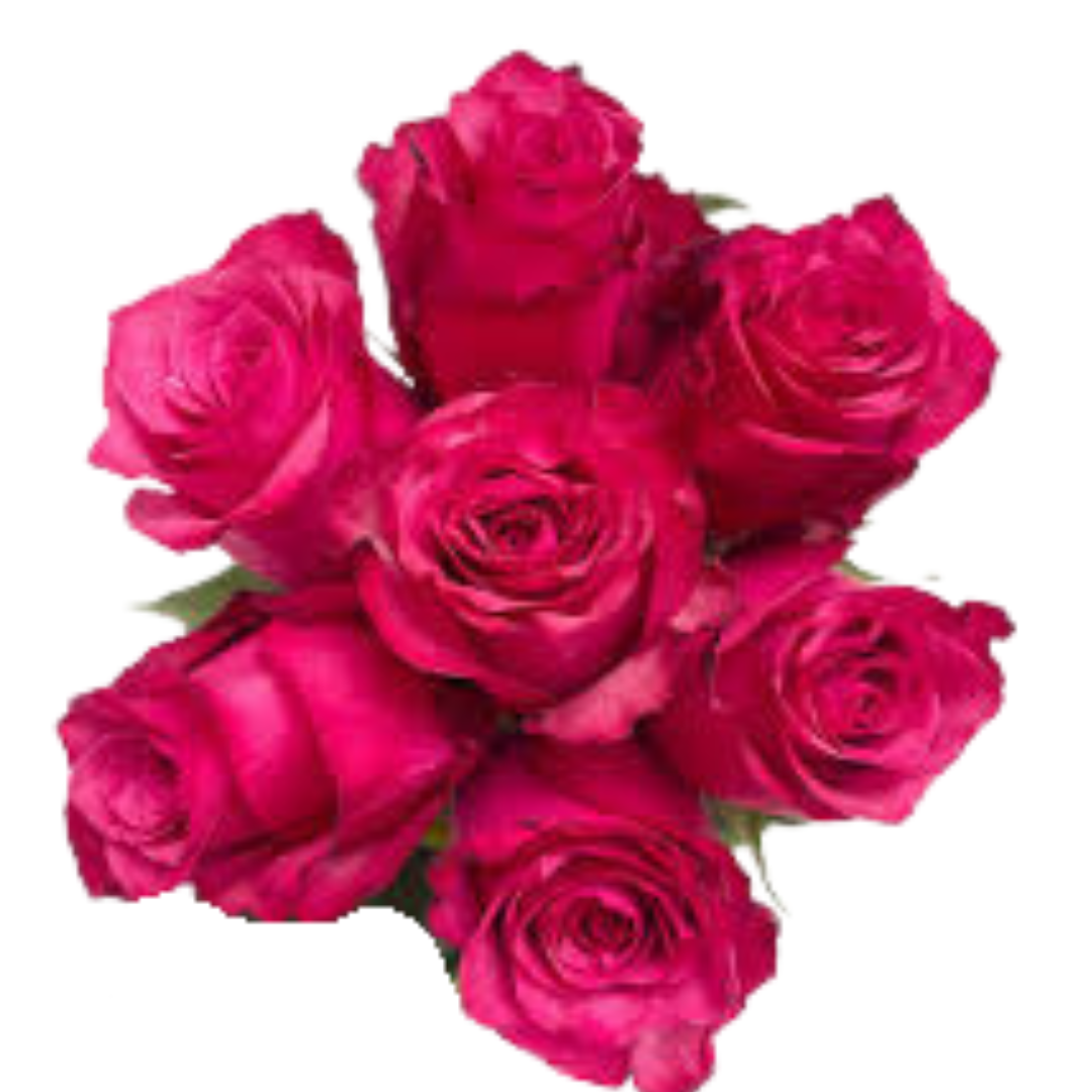 9 Roze Lola