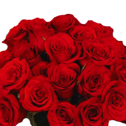 9 Roze Freedom