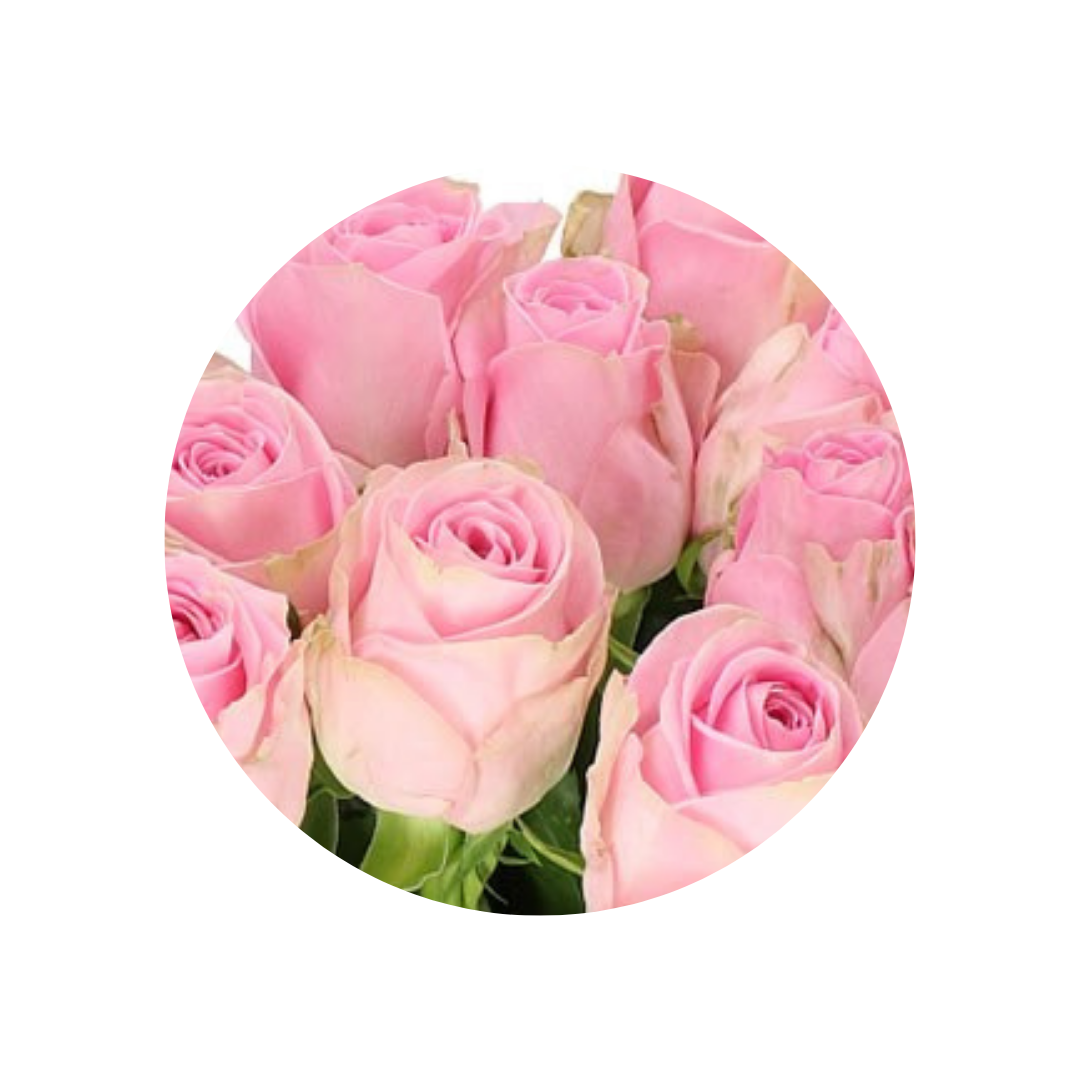 9 Roze Heidi