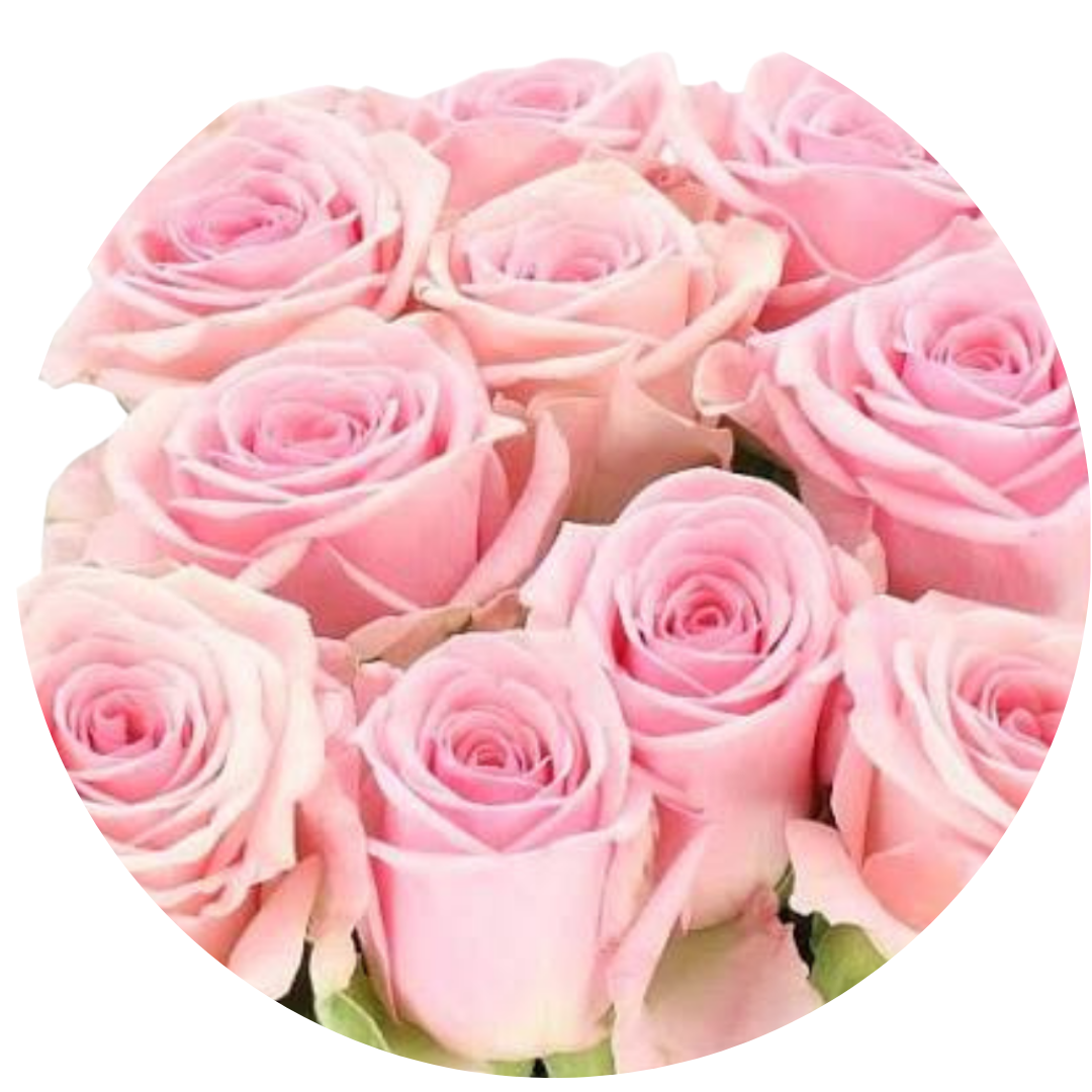 21 Roze Pink Mondial