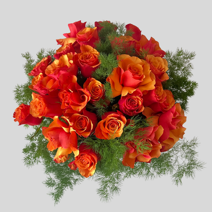 Ugunīgais Valentīns