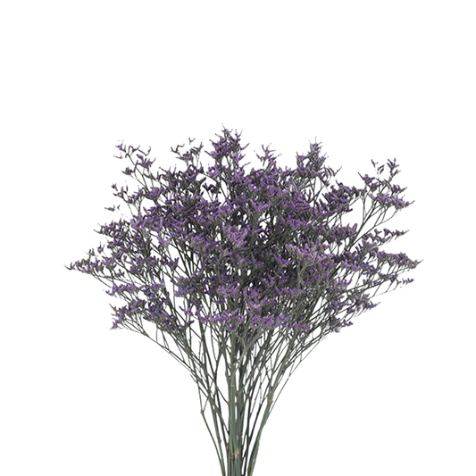 9 Limonija Safora Dark Blue