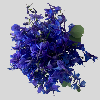 21 Debesu pieskāriens