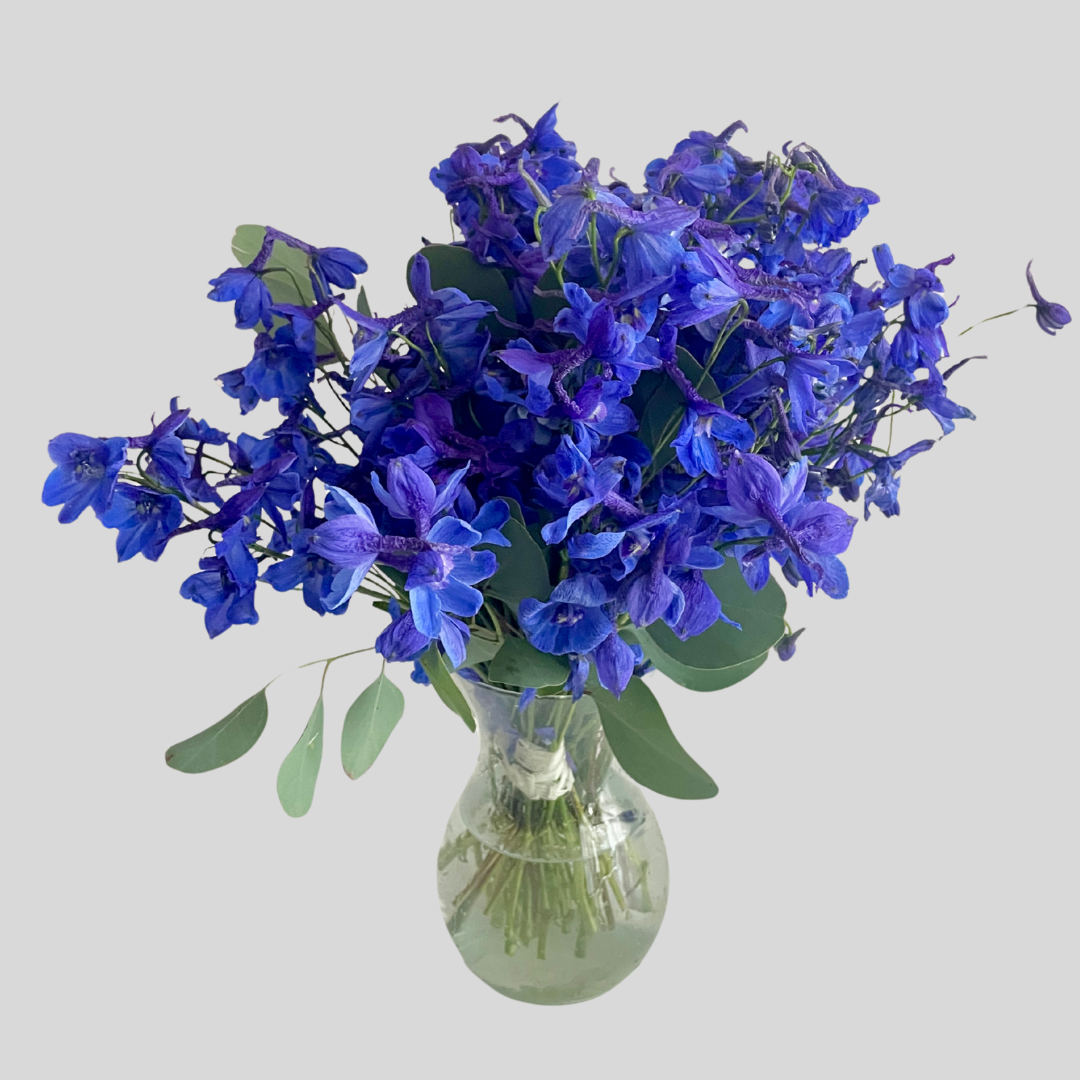 21 Debesu pieskāriens