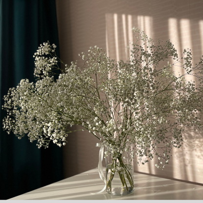 15 Baltais smaržu mākonis